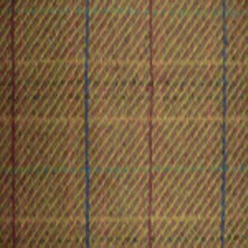 Golden Jewel Plaid
