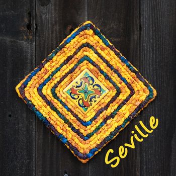 Locker Hooking Starter Kit by Theresa Pulido "Seville"