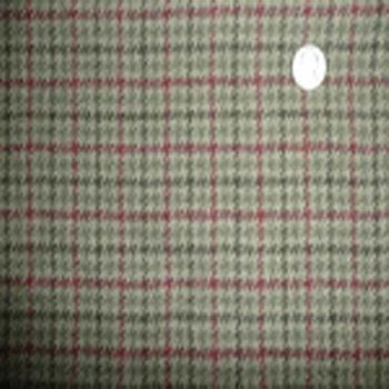 Olive and Red Plaid