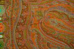 Antique Paisley 15-15