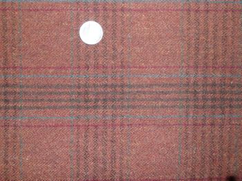 Rich Rust Plaid
