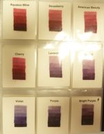 Used Cushing Dye Sample Book by Mary Sue Layton