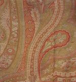 Vintage Paisley 19-20