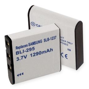 IKEGAMU DVU-SAM1 R1 Digital Battery