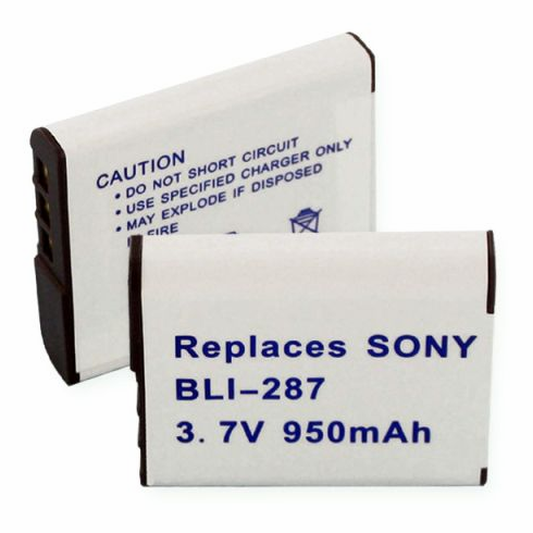 Rayovac RAYBG1 battery, 925mAh