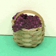 Click to enlarge