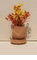 Brown Wood Planter