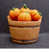 Bucket of Pumpkins