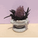 Funeral Planter With Purple Flower