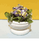 Lavender & Yellow Flowers in Pot