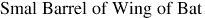 Smal Barrel of Wing of Bat
