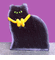 Spooky Black Cat