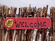 Welcome Fence Sign