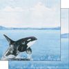 Orca Safari paper