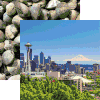 Seattle Scenic Scrapbook Paper
