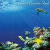 Great Barrier Reef paper Great Barrier Reef paper