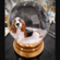 Basset Hound Snowglobe / Red Heart Glitterglobe