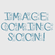 Bouvier Des Flandres Natural Ears Snowglobe / Red Heart Glitterglobe