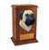Bullmastiff Memorial Urn