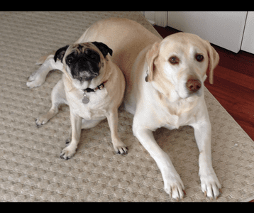 Sophia and Mia