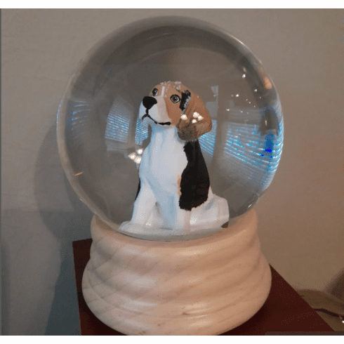  Custom Beagle Snowglobe