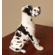 Custom Great Dane Snowglobe