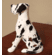  Custom Great Dane Snowglobe