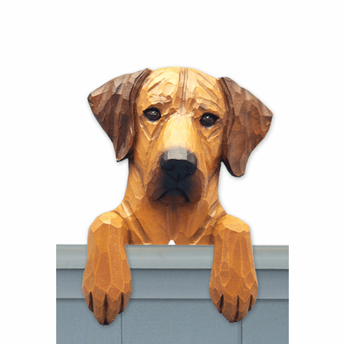 Rhodesian Ridgeback Door Topper