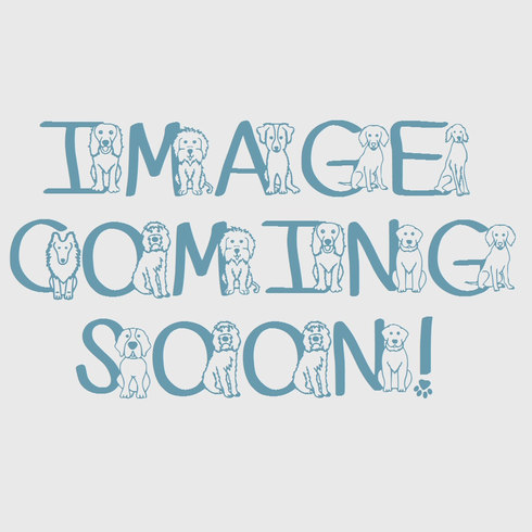 Sealyham Terrier Snowglobe / Red Heart Glitterglobe