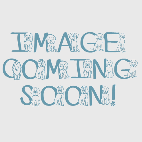 Soft Coated Wheaten Terrier Snowglobe / Red Heart Glitterglobe