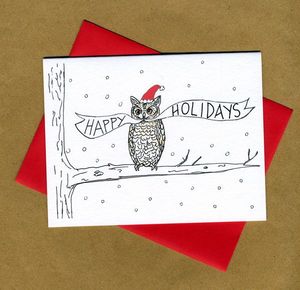 Snowy Owl Holidays
