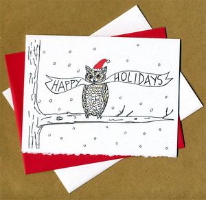 Snowy Owl Holidays