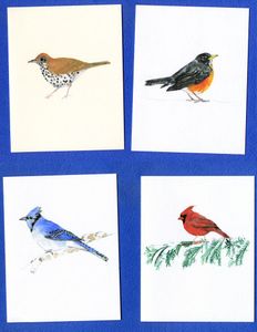 Bird combo (Wood Thrush, Robin, Blue Jay, Cardinal)