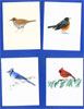 Bird combo (Wood Thrush, Robin, Blue Jay, Cardinal)