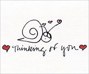 Snail Mix - 8 different notes