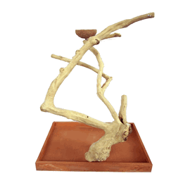 Medium Java Wood Table Top Play Stand