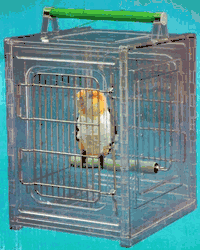 Paradise Bird Carrier
