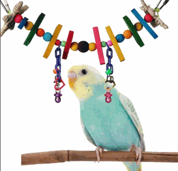 Super Bird Creations Rainbow Bridge Mini