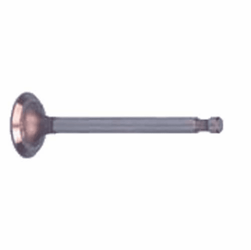 Club Car DS / Precedent FE290 Intake Valve (Years 1992-Up)