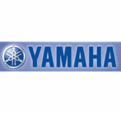 Dashes and Glove Box Covers for Yamaha Drive (2016 and older)