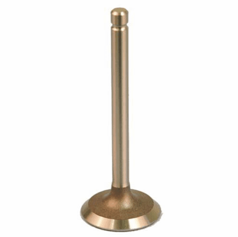 E-Z-GO Gas 4-Cycle 350cc & 295cc Intake Valve (Years 1996-2003)