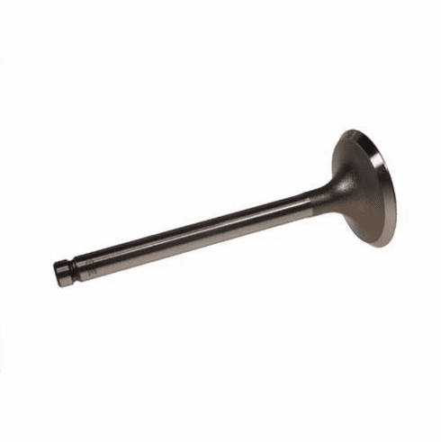 E-Z-GO RXV Intake Valve (Years 2008-Up)