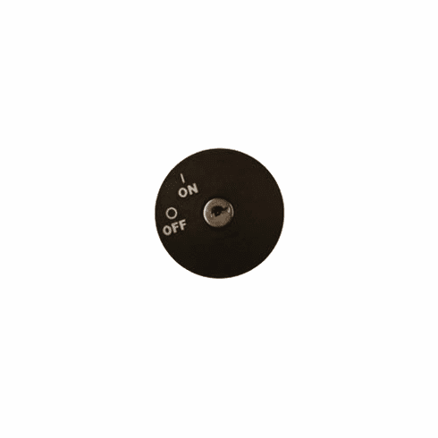 RXV KEY SWITCH - RXV GAS (OEM #611284)