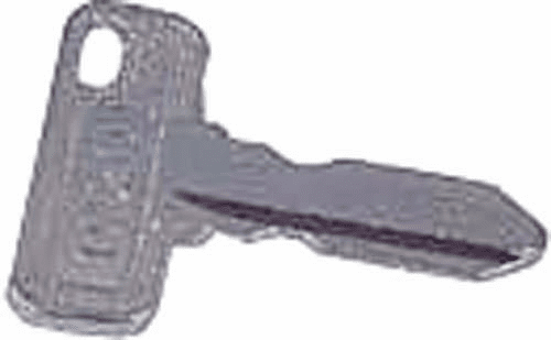 Set of (25) Club Car DS / Precedent Key (Fits 1984-Up)