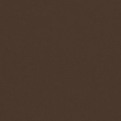 True Brown Sunbrella Seat Cover For Yamaha Drive2