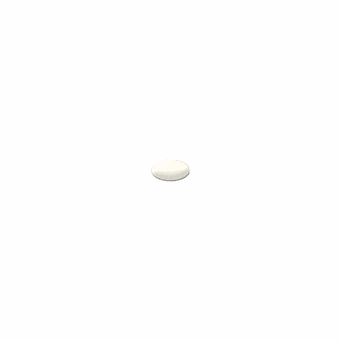 Angel White (F)<BR>