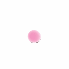Bare Rose<BR>