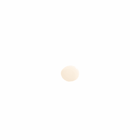 French Manicure Sheer Nude