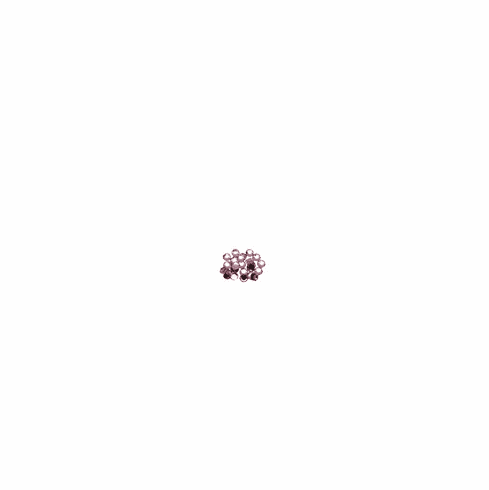 Light Rose - 100 Ct.<BR>