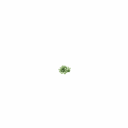 Peridot- 100 Ct.<BR>